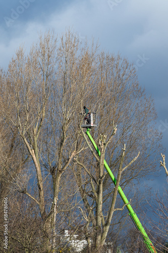 Baumarbeiten mit Kran photo