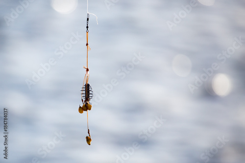 The fisherman put on bait on hooks fishing rods © schankz