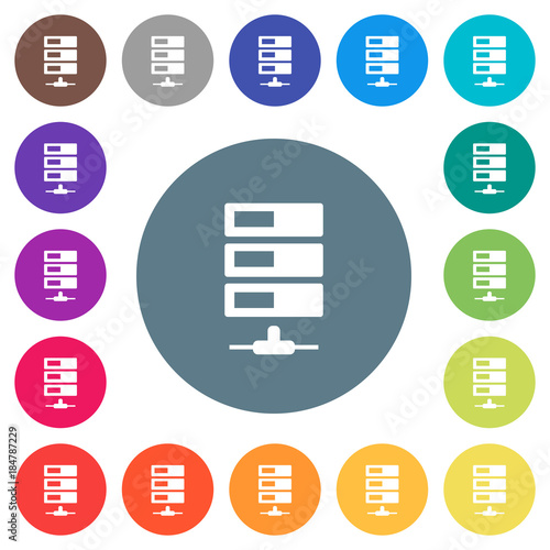 Data network flat white icons on round color backgrounds
