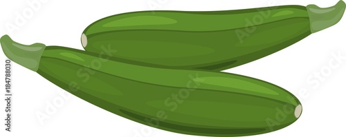 Two fresh green zucchini on white background