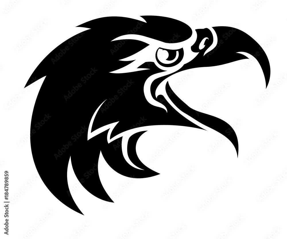 Fototapeta premium Eagle Head in Profile