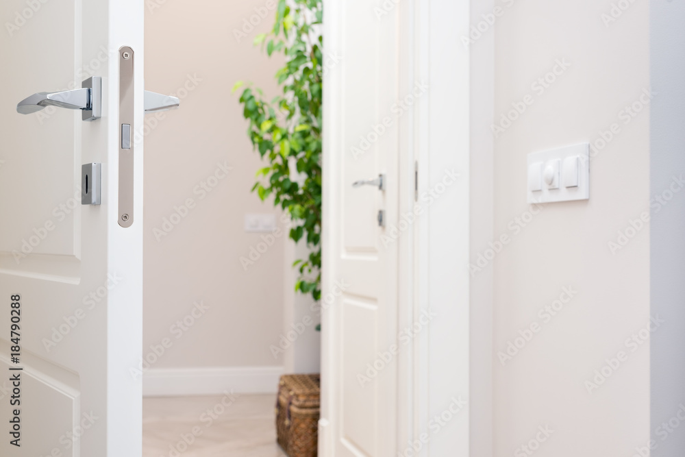 Obraz premium Close-up elements of the interior of the apartment. Ajar white door. Chrome door handle and lock