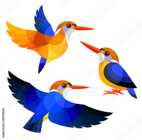Stylized Birds - African Dwarf Kingfisher