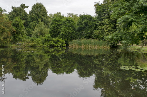 Forest, lake with reflection, reed or phragmites and water lily in National monument of landscape architecture Park museum Vrana in former time royal palace on Sofia, Bulgaria, Europe 