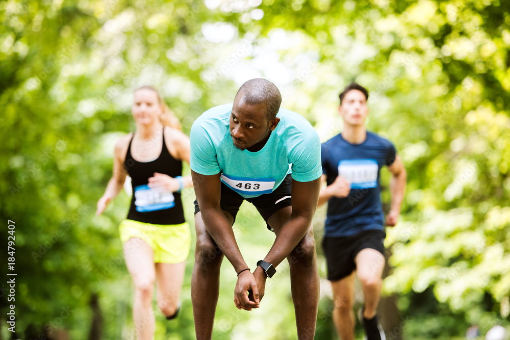 Group of young athletes running a race in green sunny park. Group of young athletes running a race in green sunny park.