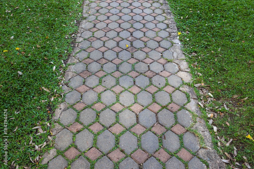 Walkway on green grassy