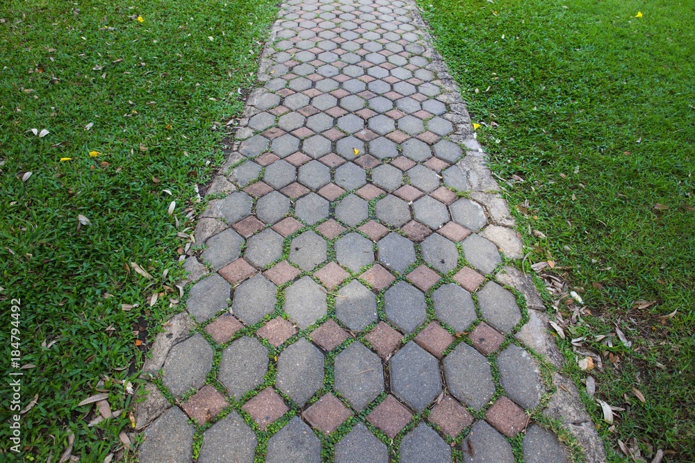 Walkway on green grassy