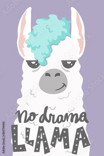 cute cartoon lama alpaca withunique hand drawn lettering quote- no drama llama.Vector Illustration. unique design for cards, posters, t-shirts, invitations