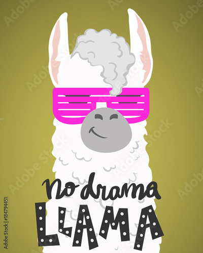 cute cartoon lama alpaca withunique hand drawn lettering quote- no drama llama.Vector Illustration. unique design for cards, posters, t-shirts, invitations