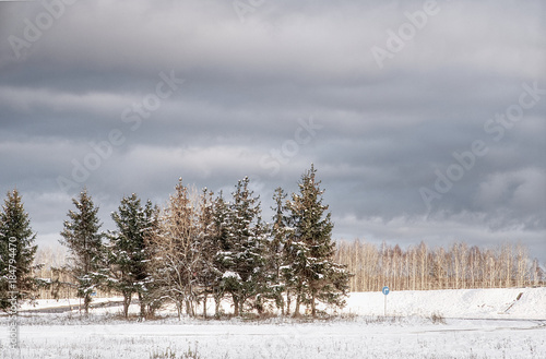 Wallpaper Mural Snowy winter in the Belarusian village                             Torontodigital.ca