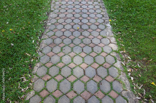 Obraz na płótnie Walkway on green grassy w salonie