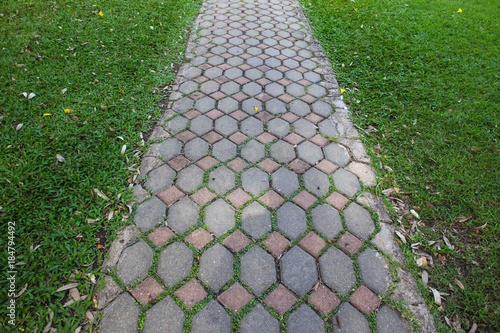Obraz na płótnie Walkway on green grassy w salonie