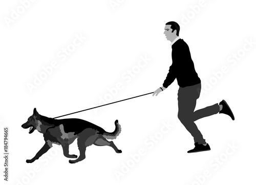 Owner keeps the dog on the leash. German Shepherd running, champion dog vector illustration isolated. Dog show exhibition. Finder detects explosives and drugs. Rescue activity dog for finding survive.