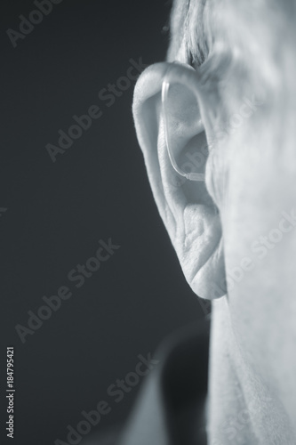Digital hearing aid ear