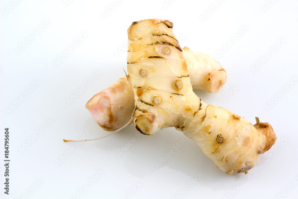 Fresh galangal on a white background, Fresh roots of an galangal on a white background. Fresh galangal on a white background, Fresh roots of an galangal on a white background.