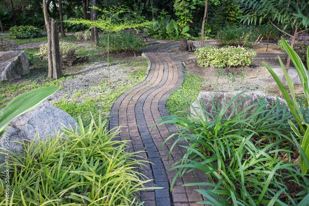 Walkway on green grassy