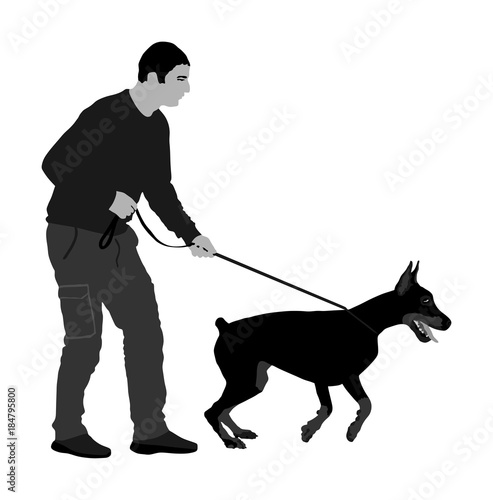 Owner keeps the Doberman Pincher champion dog on the leash, vector illustration isolated. Dog show exhibition. Finder detects military explosives and drugs. Rescue activity dog for finding survive. 