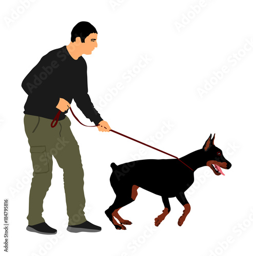 Owner keeps the Doberman Pincher champion dog on the leash, vector illustration isolated. Dog show exhibition. Finder detects military explosives and drugs. Rescue activity dog for finding survive. 