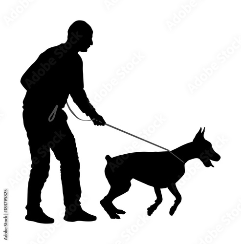 Owner keeps the Doberman pincher champion dog on the leash, vector silhouette illustration isolated. Dog show exhibition. Finder detects explosives and drugs. Rescue activity dog for finding survive. 