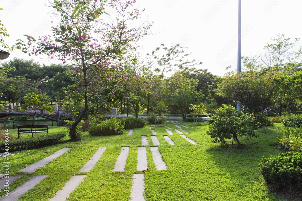 Walkway on green grassy