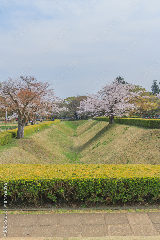 Fototapeta premium 春の佐倉城跡の角馬出の風景