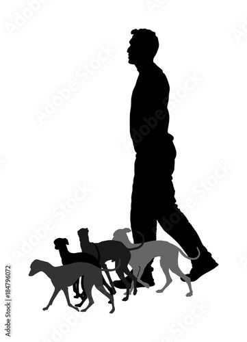 Walking the pack, array of dogs. Dog walking service vector silhouette illustration isolated on white background. Group of pets in friendly outdoor area. Park pet activity.