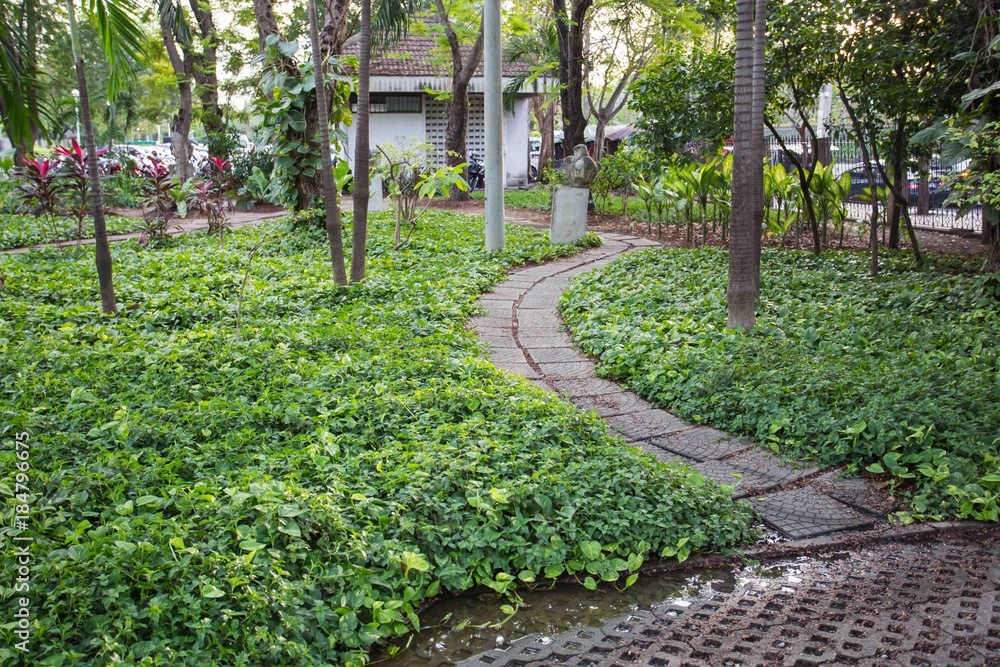 Walkway on green grassy
