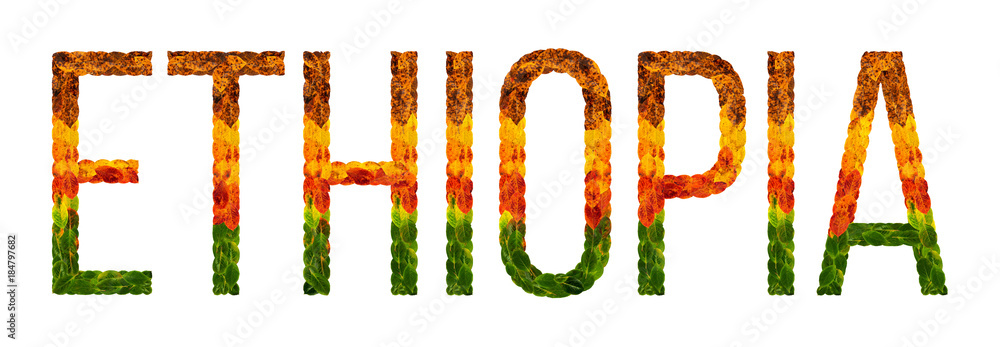 custom made wallpaper toronto digitalword ethiopia country is written with leaves on a white insulated background, a banner for printing, a creative developing country colored leaves ethiopia