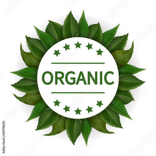 organic vector design logo, green leaves, badge.