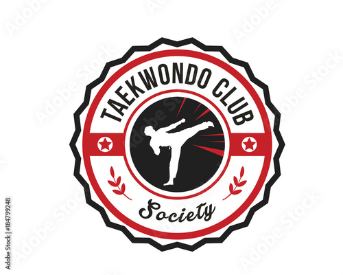 Modern Sports Badge Logo - Taekwondo
