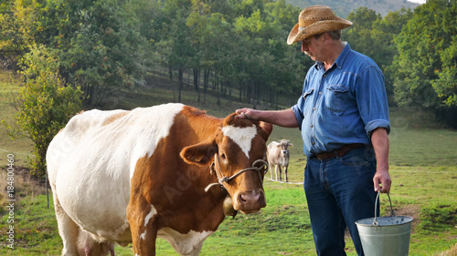 фотографія A farmer breeds and cows his cow in nature according to ancient traditions