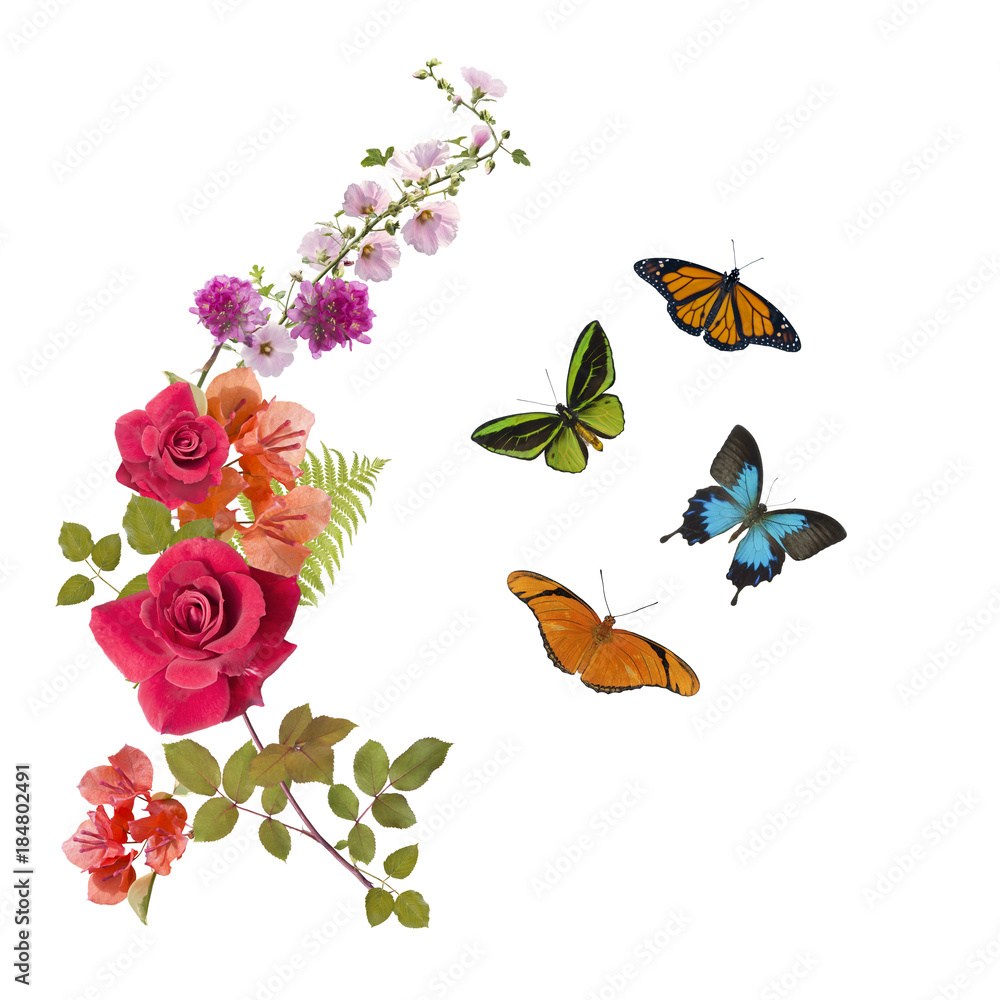Butterflies and flowers arrangement