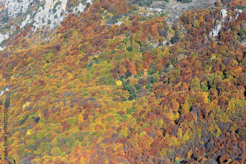 picturesque slopes of Mount Demerdzhi