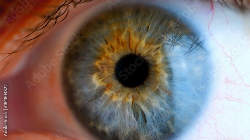 Human eye iris contracting. Extreme close up.
