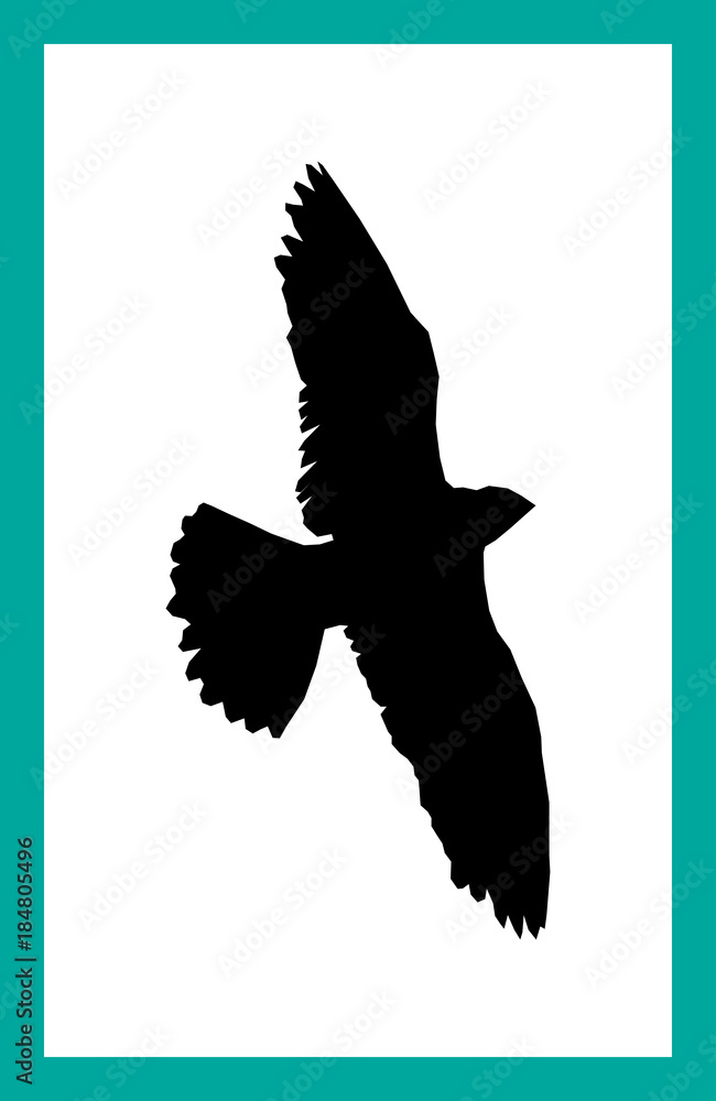 Fototapeta premium bird with wide open wings on isolated