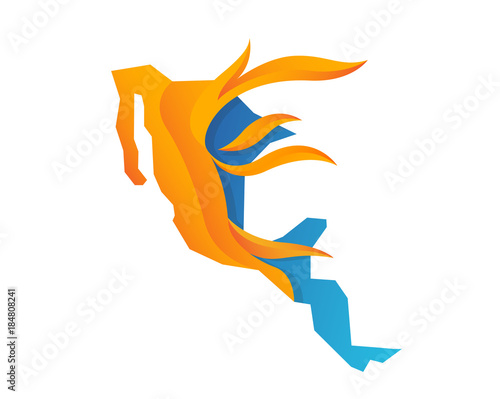 Modern Flaming Mexico Map Illustration