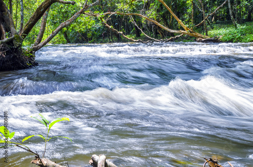 Sahasralingas (Linga 1,000), the figures of Yoni and Linga in rocky riverbed on mountain along Kbal Spean river in Phnom Kulen National Park (Phnom Koulen, Mountain of Lychees), Siem Reap, Cambodia photo