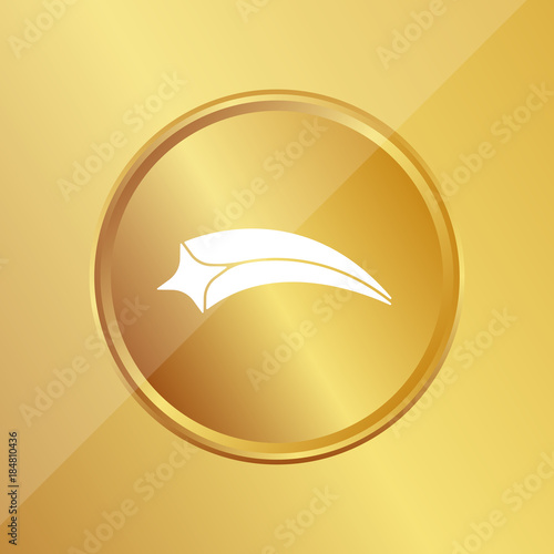 Gold Medaille - Sternschnuppe - Weihnachten