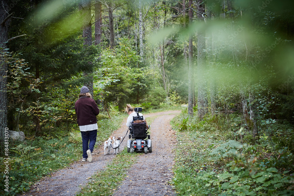 Rear view of young male caretaker with disabled woman and dog in forest Rear view of young male caretaker with disabled woman and dog in forest