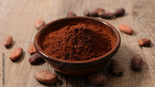 cocoa powder with cocoa bean