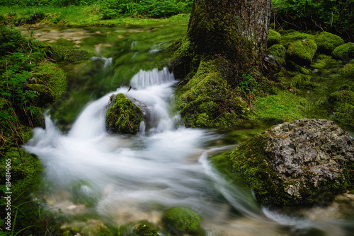 Fototapeta Naklejka Na Ścianę i Meble -  Smal waterfall surrounded by green moss in Soca (Trenta) valley in Slovenia.