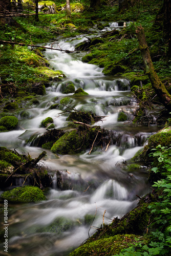 River stream surrounded by green moss in Soca (Trenta) valley in Slovenia.