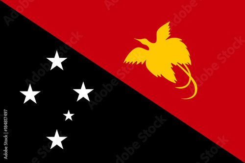 Flag Papua New Guinea flat style. The icon of national symbol. State sign in flat style on the entire page as vector illustration