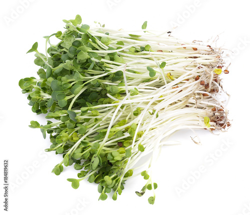 kaiware sprout, japanese vegetable or watercress on white background