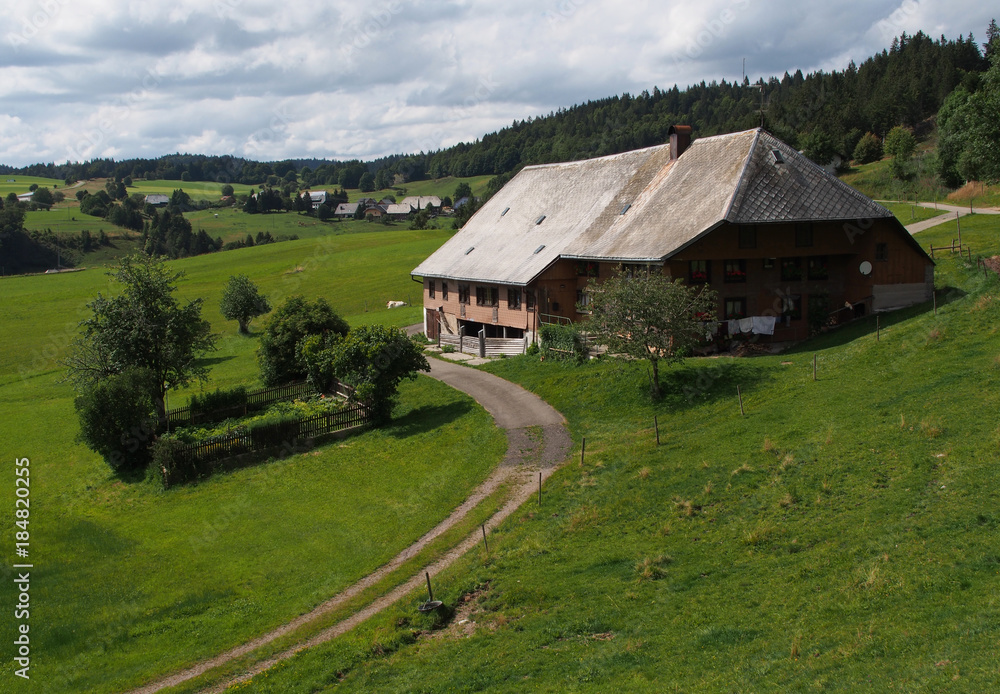 Fototapeta premium Schwarzwaldhof bei Ibach, Südschwarzwald