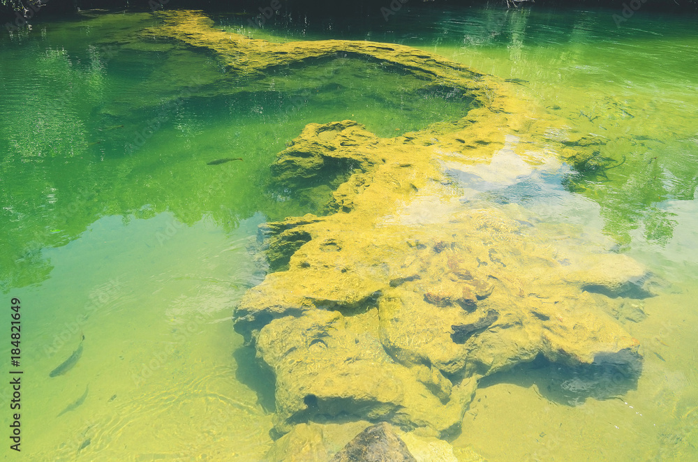 Rock formations at the bottom of a river with transparent green water. Beautiful nature at Bonito - MS, Brazil.