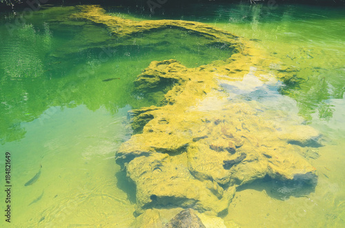 Fototapeta Naklejka Na Ścianę i Meble -  Rock formations at the bottom of a river with transparent green water. Beautiful nature at Bonito - MS, Brazil.