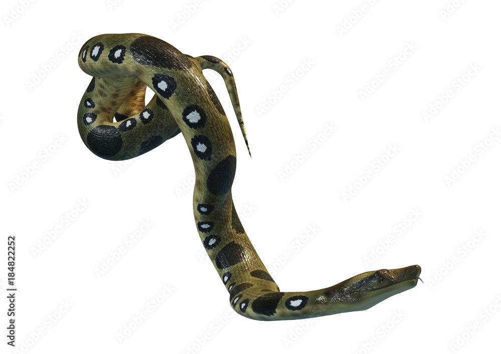 Naklejka premium 3D Rendering Green Anaconda on White