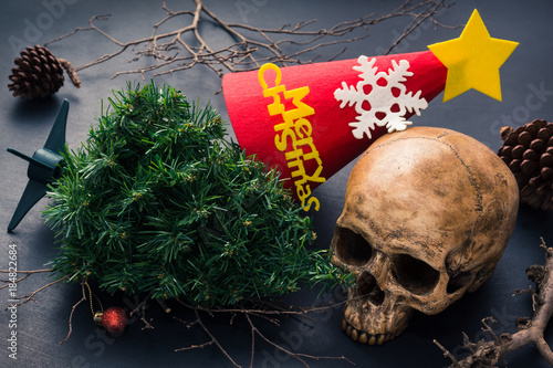 Fotografie still life photography : human skull, christmas tree and red flannel hat that ha