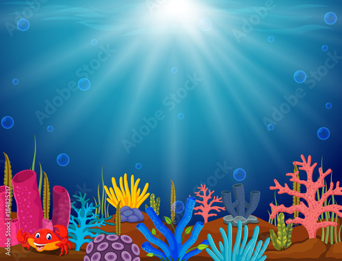 Underwater scene with tropical coral reef